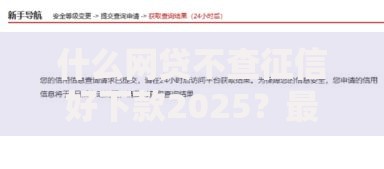什么网贷不查征信好下款2025？最新平台解析与申请指南