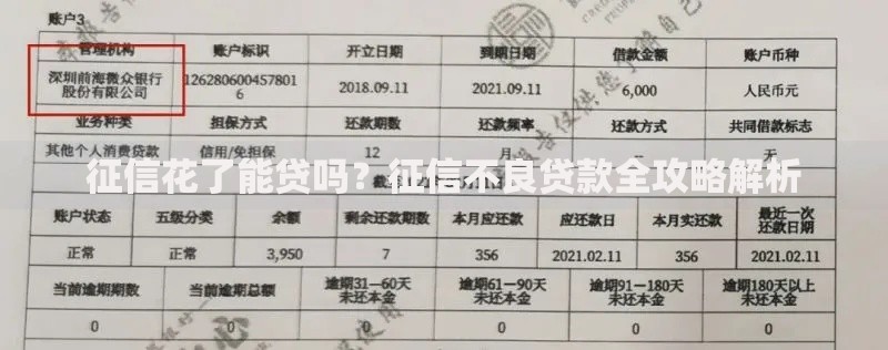 征信花了能贷吗？征信不良贷款全攻略解析