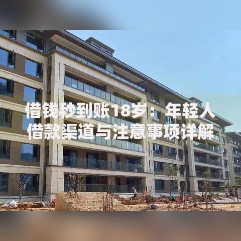 借钱秒到账18岁：年轻人借款渠道与注意事项详解