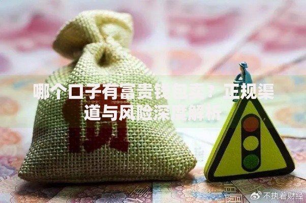 哪个口子有富贵钱包卖？正规渠道与风险深度解析