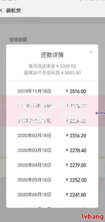 网贷怎么申请停息还款?详细流程与注意事项 网贷怎么申请停息还款?详细流程与注意事项