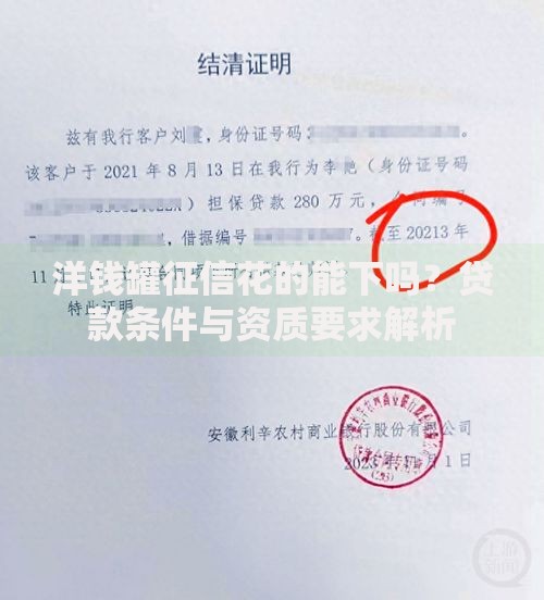 洋钱罐征信花的能下吗？贷款条件与资质要求解析