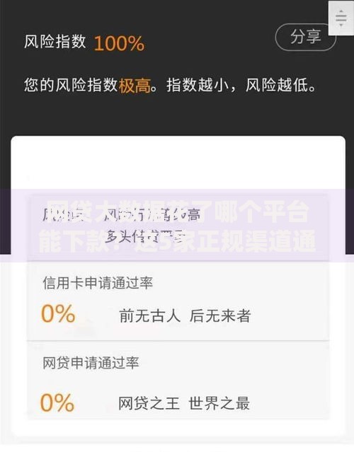 网贷大数据花了哪个平台能下款？这5家正规渠道通过率高