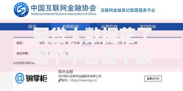 网贷大数据花了哪个平台能下款？这5家正规渠道通过率高