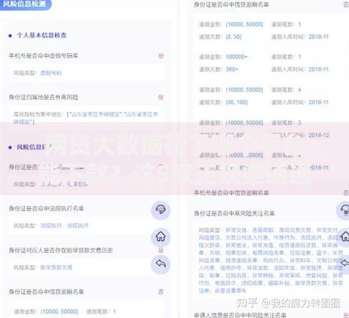 网贷大数据花了哪个平台能下款？这5家正规渠道通过率高