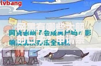 网黑有哪些大额的口子？申请条件与风险解析