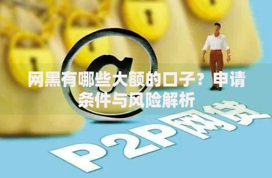 网黑有哪些大额的口子？申请条件与风险解析