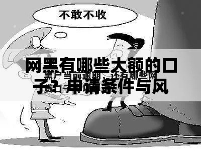 网黑有哪些大额的口子？申请条件与风险解析