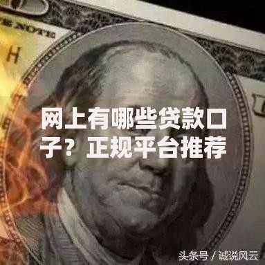 网上有哪些贷款口子？正规平台推荐及申请攻略