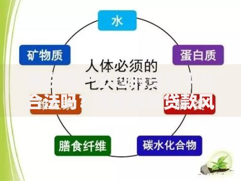 黑白花户必过的贷款平台合法吗？深度解析贷款风险与合规性