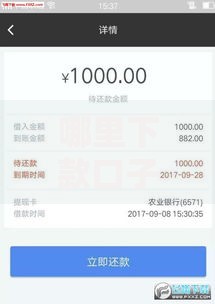 哪里下款口子可靠？如何选择安全贷款渠道