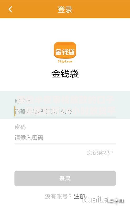 哪些半夜审核放款的口子？深度解析24小时放贷平台特点