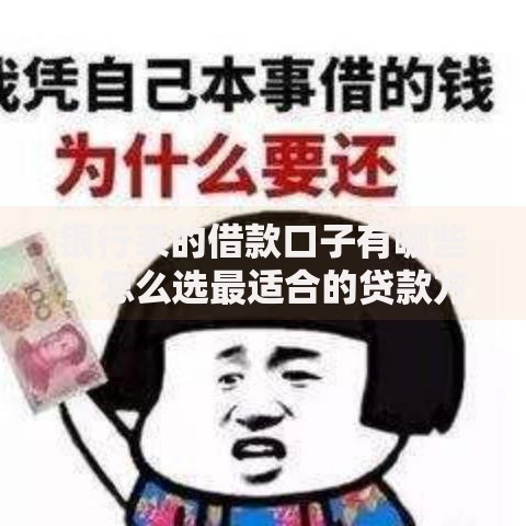 银行系的借款口子有哪些？怎么选最适合的贷款方案