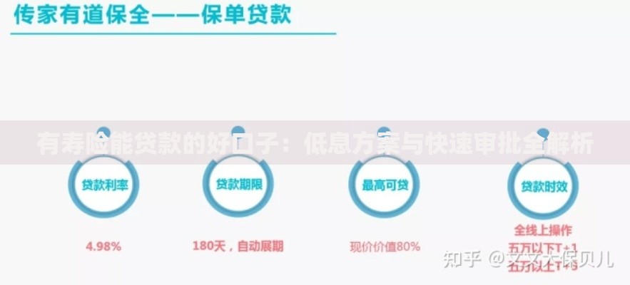 有寿险能贷款的好口子：低息方案与快速审批全解析