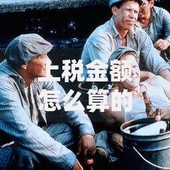上税金额怎么算的？搞懂这几点轻松应对税务问题
