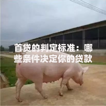 首贷的判定标准：哪些条件决定你的贷款资格？必看指南！