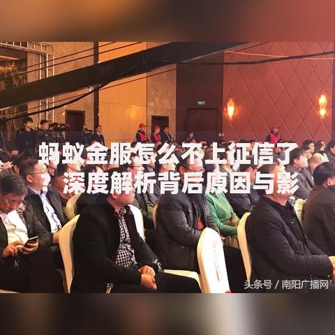 蚂蚁金服怎么不上征信了？深度解析背后原因与影响