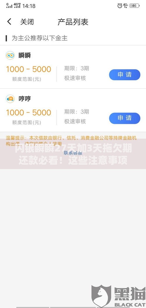 闪银瞬瞬27天加3天拖欠期还款必看！这些注意事项你都知道吗