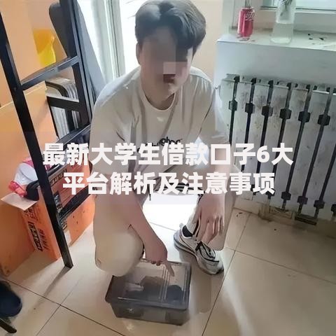 最新大学生借款口子6大平台解析及注意事项