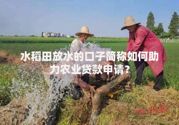 水稻田放水的口子简称如何助力农业贷款申请？