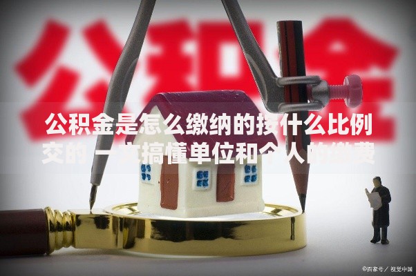 公积金是怎么缴纳的按什么比例交的 一文搞懂单位和个人的缴费规则