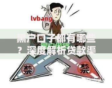 黑户口子都有哪些？深度解析贷款渠道与风险防范