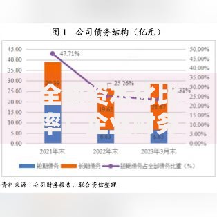 全部资本化比率：企业财务健康的关键指标与优化策略
