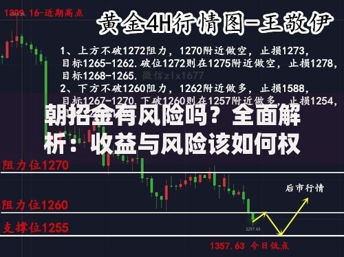 朝招金有风险吗？全面解析：收益与风险该如何权衡