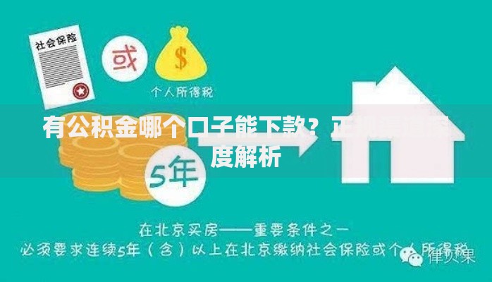 有公积金哪个口子能下款？正规渠道深度解析