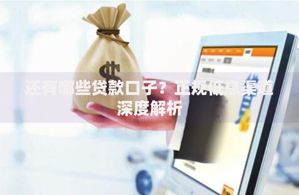 还有哪些贷款口子？正规低息渠道深度解析