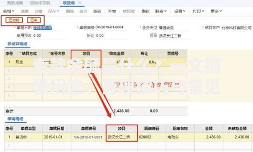 专款余额是什么？一文搞懂用途、管理技巧与常见误区