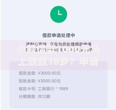 小额借款1000元马上放款18岁？申请条件与流程全解析