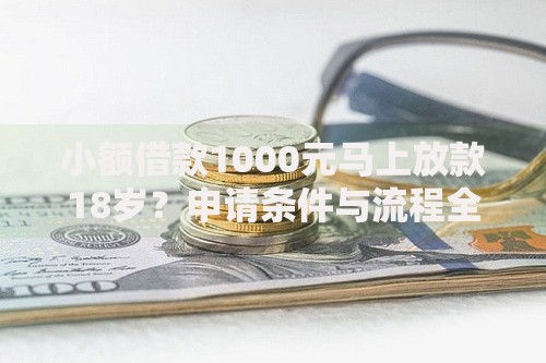 小额借款1000元马上放款18岁？申请条件与流程全解析