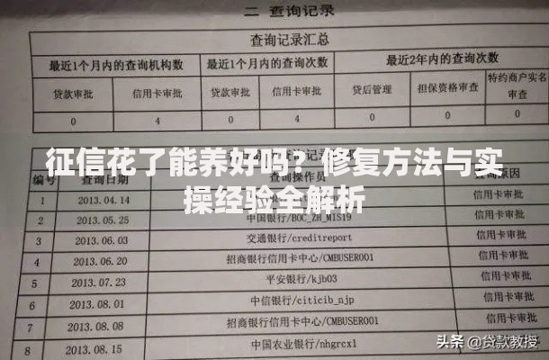 征信花了能养好吗？修复方法与实操经验全解析