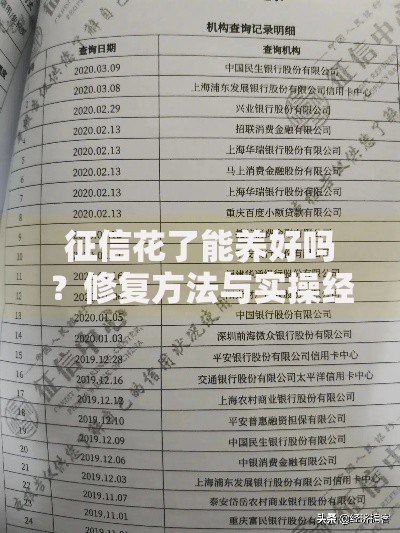 征信花了能养好吗？修复方法与实操经验全解析
