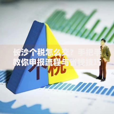 长沙个税怎么交？手把手教你申报流程与省钱技巧