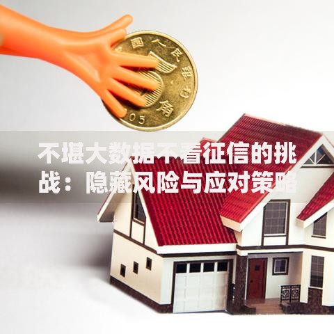 不堪大数据不看征信的挑战：隐藏风险与应对策略