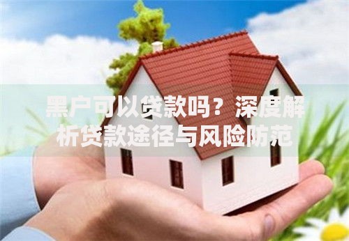 黑户可以贷款吗？深度解析贷款途径与风险防范
