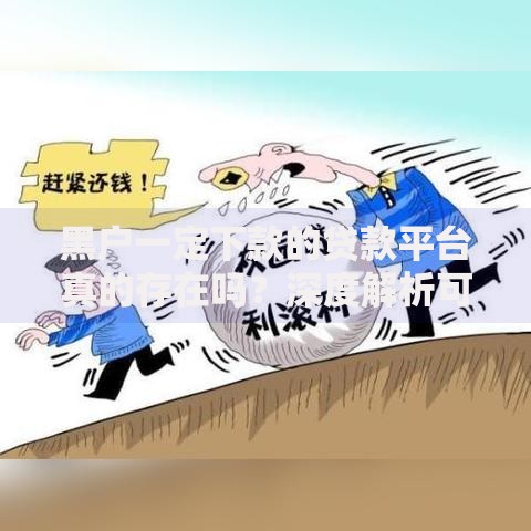 黑户一定下款的贷款平台真的存在吗？深度解析可靠渠道