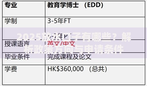 2025放水口子有哪些？解析政策方向与申请条件