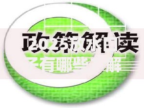 2025放水口子有哪些？解析政策方向与申请条件