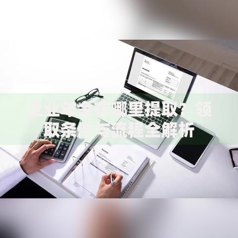 企业年金在哪里提取？领取条件与流程全解析