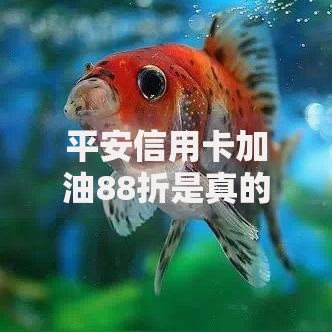 平安信用卡加油88折是真的吗？车主实测后说出这些真相