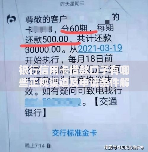 银行信用卡借款口子有哪些正规渠道及申请条件解析