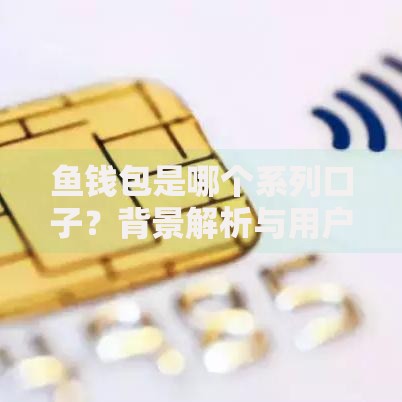 鱼钱包是哪个系列口子？背景解析与用户实测报告