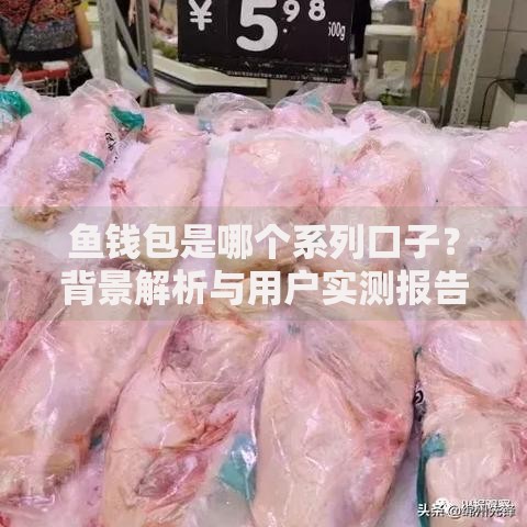 鱼钱包是哪个系列口子？背景解析与用户实测报告