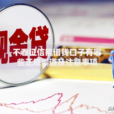 不看征信能借钱口子有哪些正规渠道及注意事项