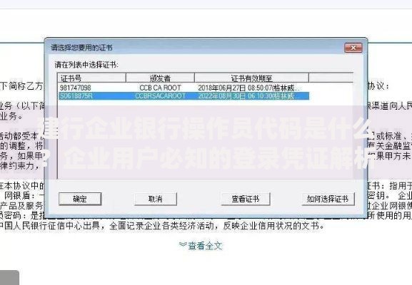 建行企业银行操作员代码是什么？企业用户必知的登录凭证解析