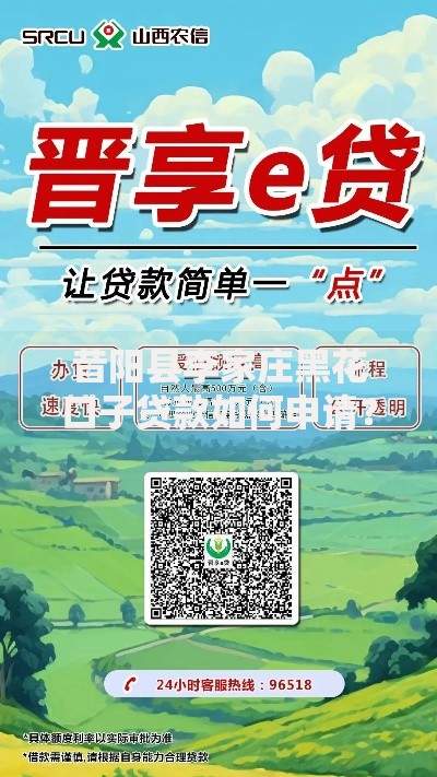 昔阳县李家庄黑花口子贷款如何申请？优势与风险全解析