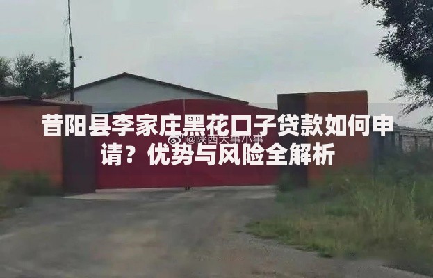 昔阳县李家庄黑花口子贷款如何申请？优势与风险全解析